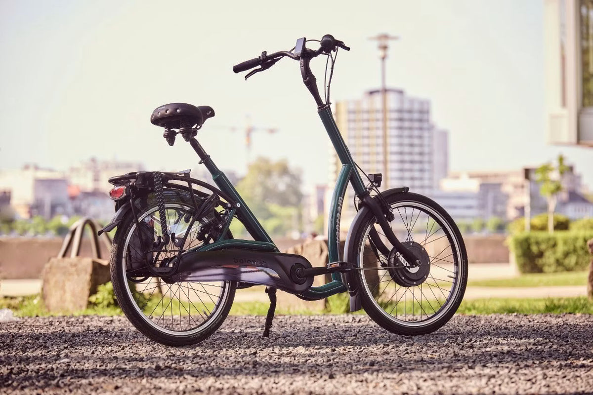 Vanraam Balance Bicycle - Low Step Through