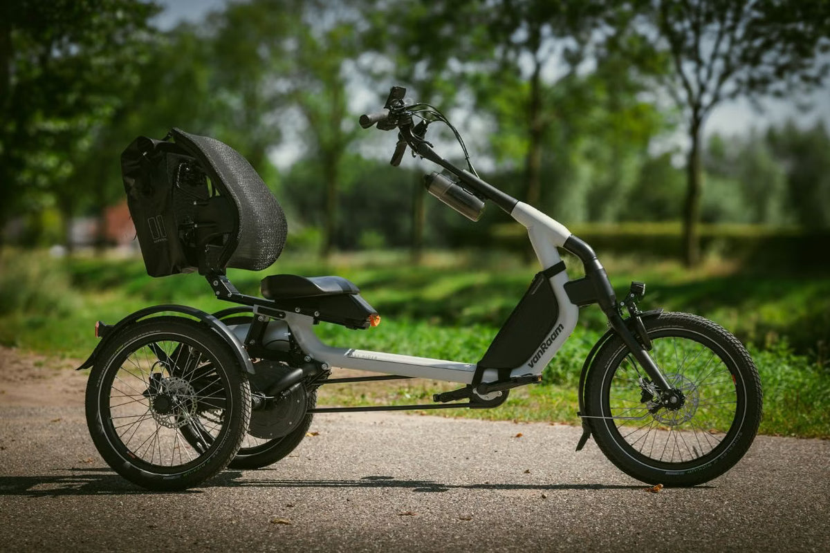 Vanraam Easy Rider Explore Tricycle