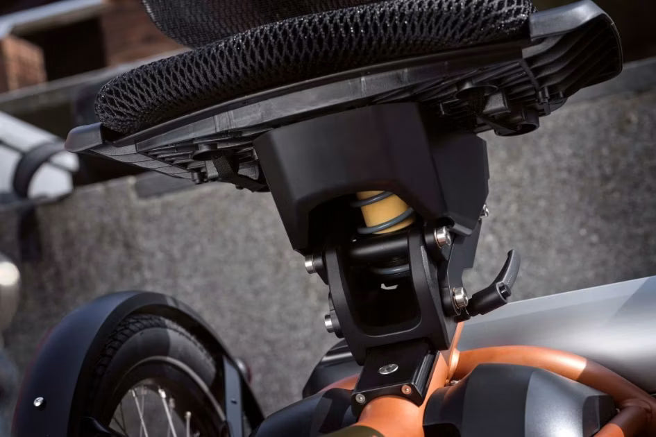 Vanraam Easy Rider Compact+ Tricycle