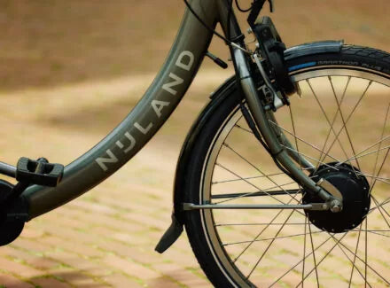 Nijland Diamond Tricylce