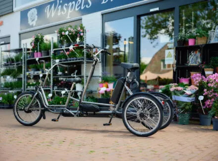 Nijland Nindo Too Tandem Tricycle
