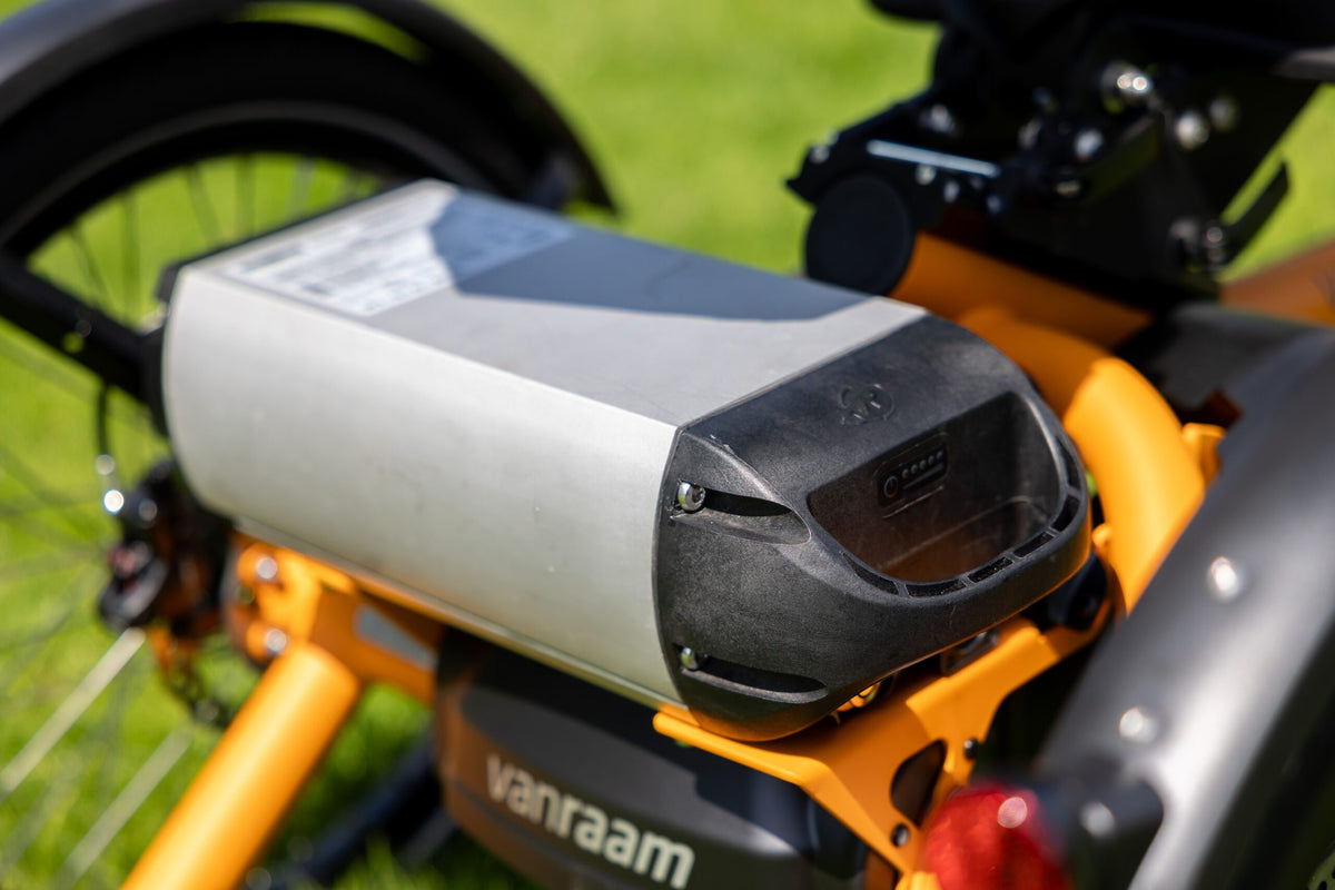 Vanraam Easy Rider Compact Small Tricycle