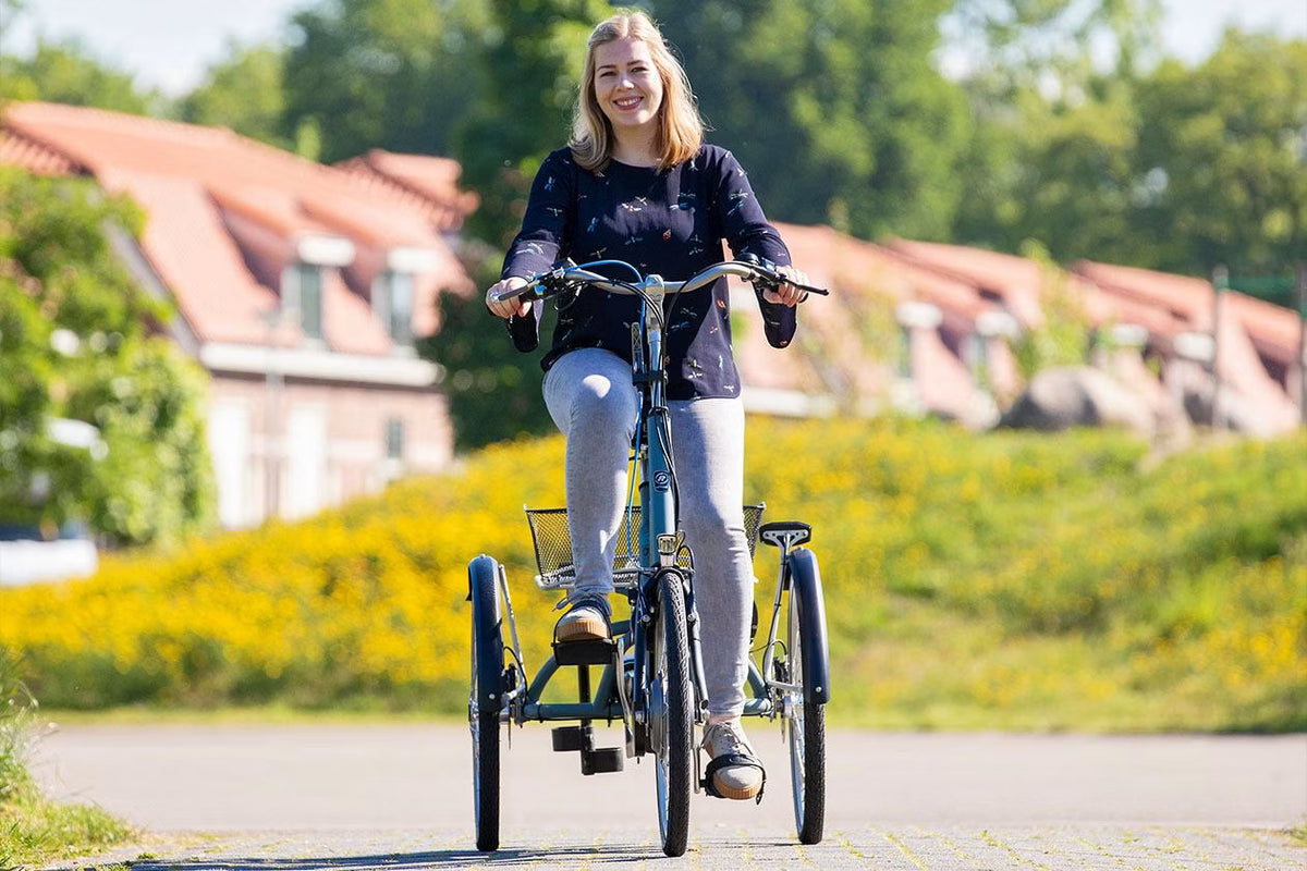 Vanraam Maxi Tricycle