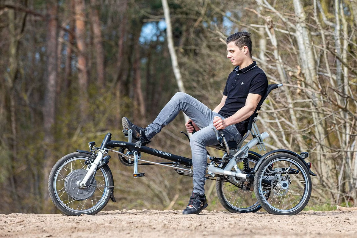 Vanraam Easy Sport Recumbent Tricycle
