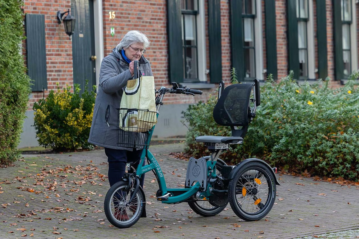 Vanraam Easy Go Scooter Bike