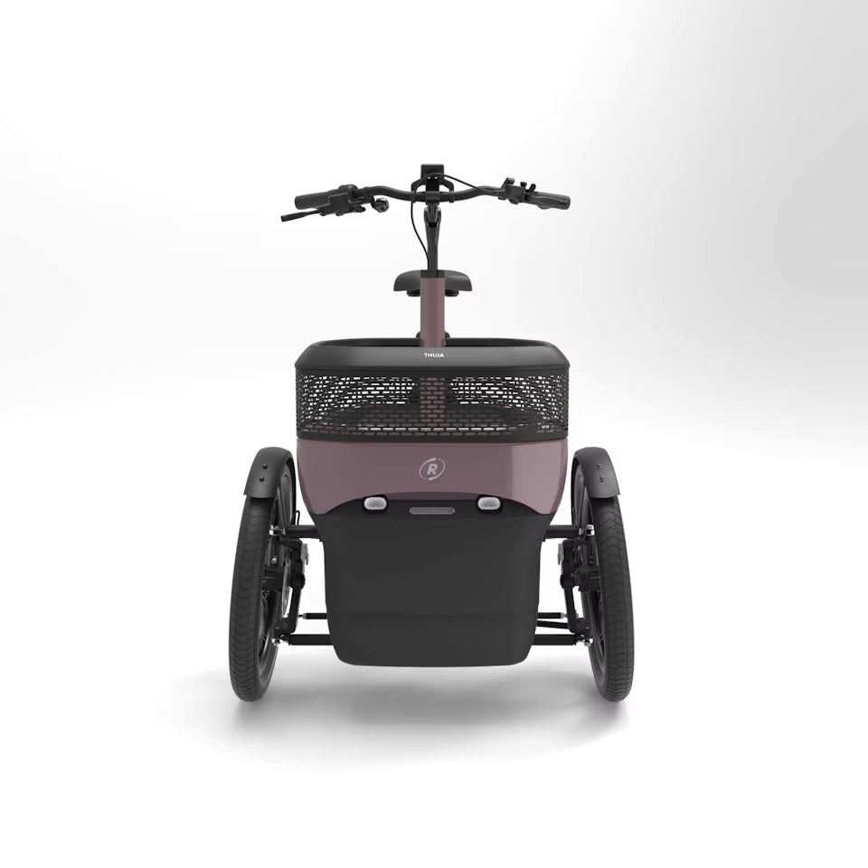 Vanraam Thuja Cargo Tricycle