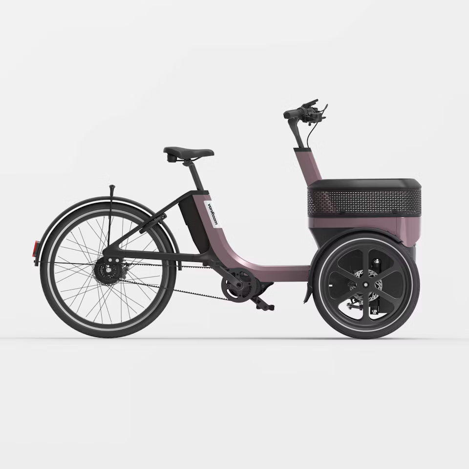 Vanraam Thuja Cargo Tricycle