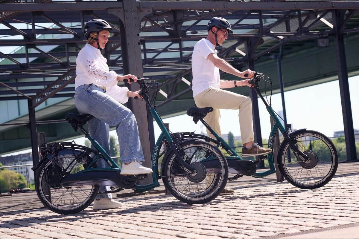Vanraam Balance Bicycle - Low Step Through