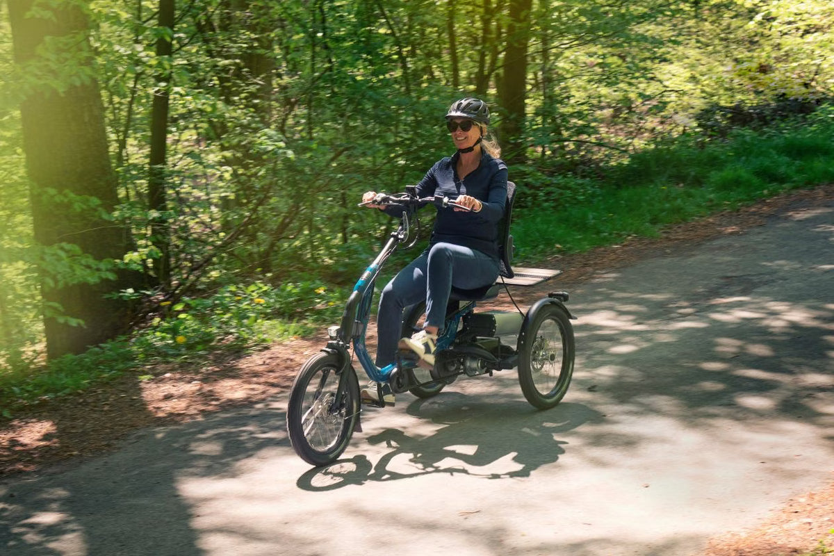 Vanraam Easy Rider Tricycle