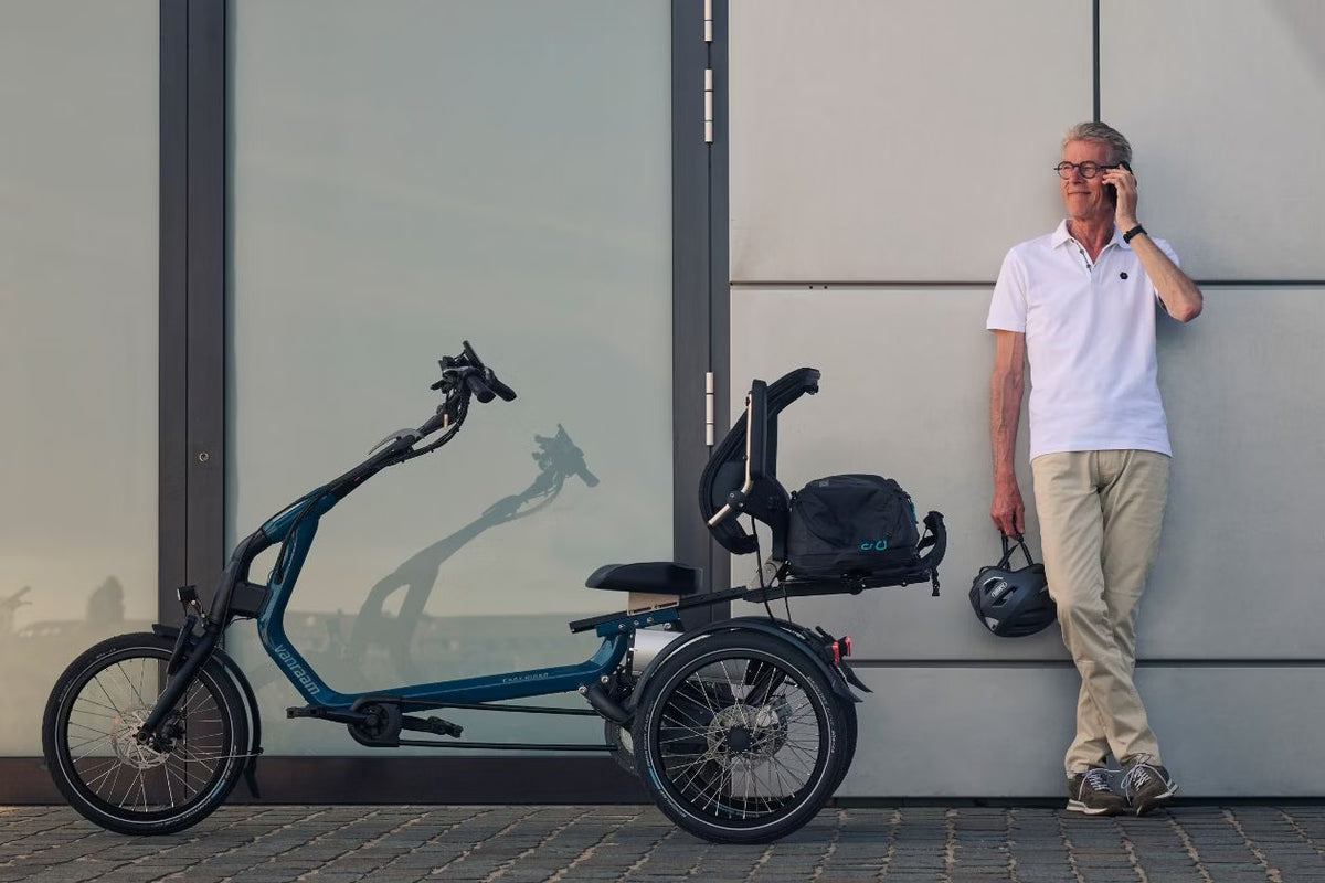 Vanraam Easy Rider Tricycle