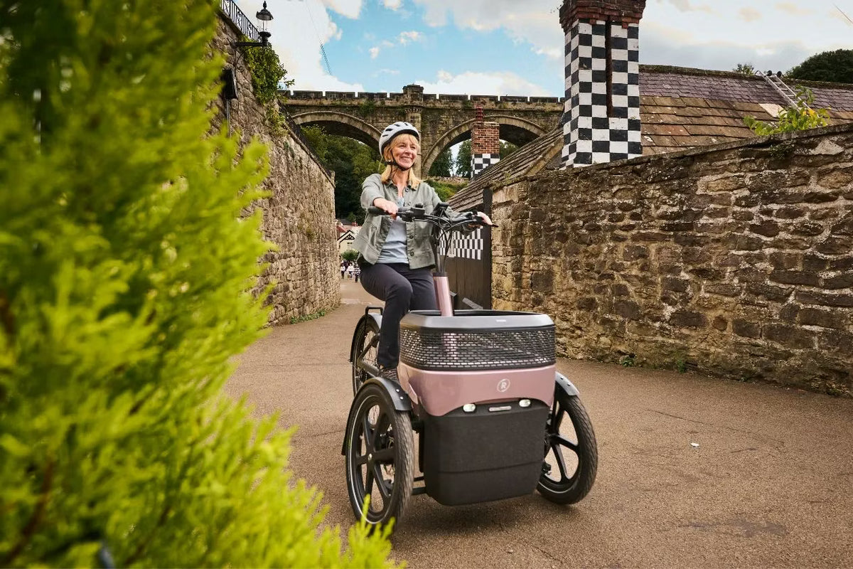 Vanraam Thuja Cargo Tricycle
