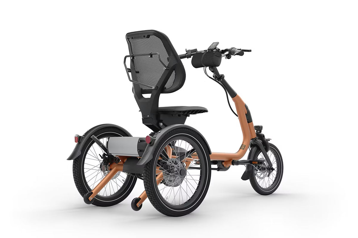 Vanraam Easy Rider Compact+ Tricycle