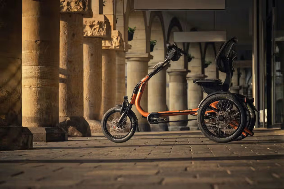 Vanraam Easy Rider Compact+ Tricycle