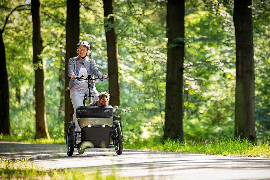Vanraam Thuja Cargo Tricycle