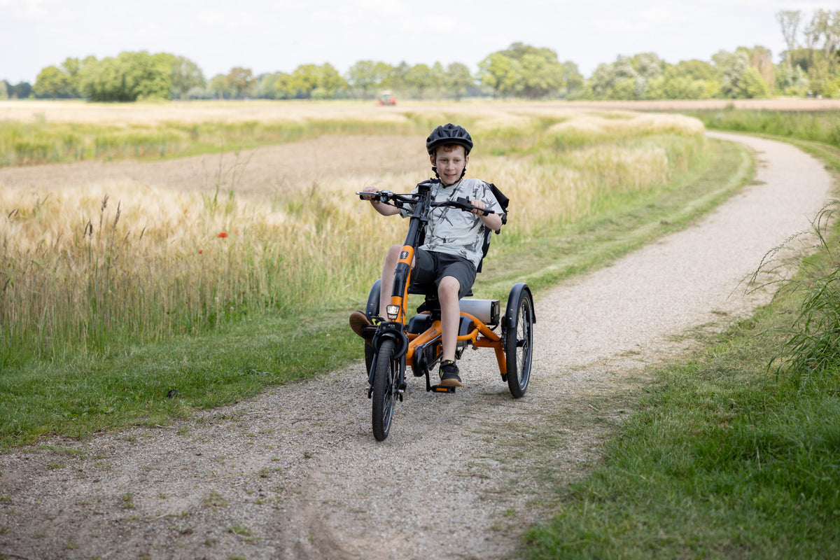 Vanraam Easy Rider Compact Small Tricycle