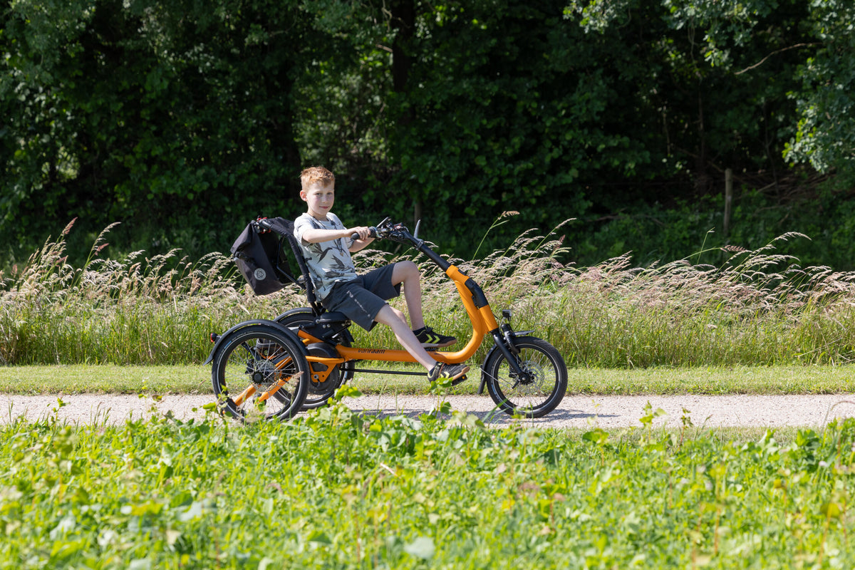 Vanraam Easy Rider Compact Small Tricycle