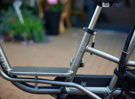 Nijland Nindo Too Tandem Tricycle