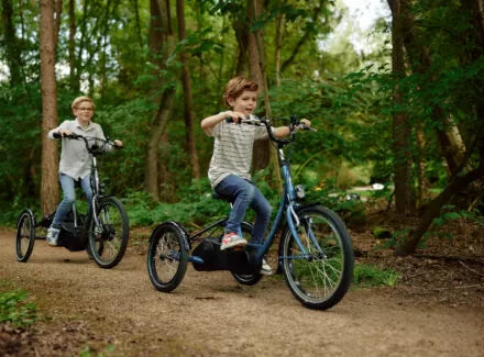 Nijland Bondo Tricycle