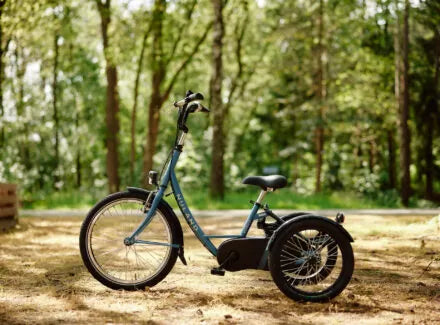 Nijland Bondo Tricycle