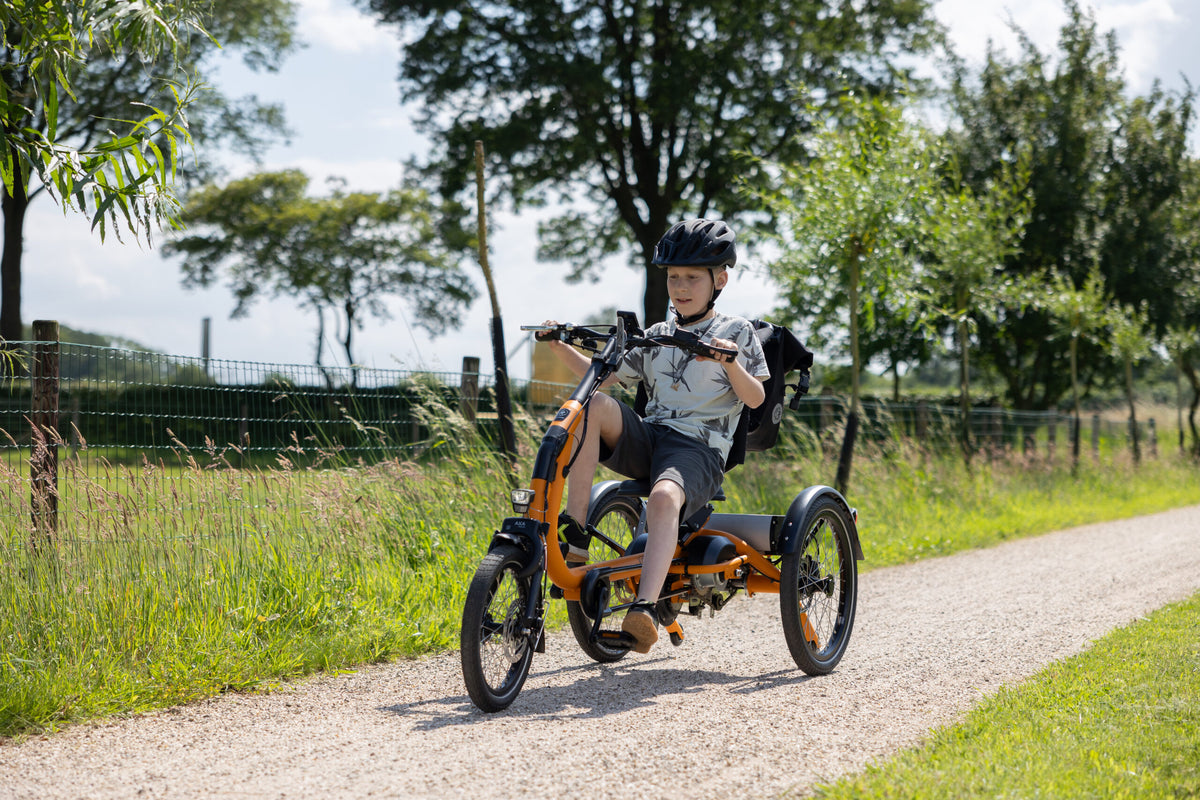 Vanraam Easy Rider Compact Small Tricycle