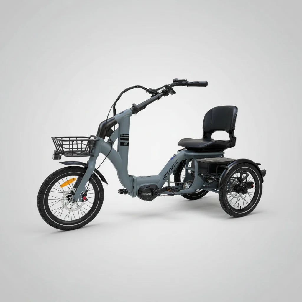 Etnnic Folding Trike Mova